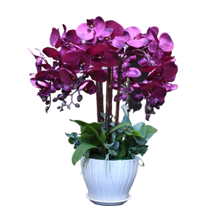 Picture of Deco Silk Purple Orchid